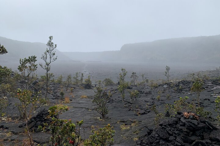 Kilauea Iki in the Mist